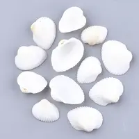Clam Shell Beads