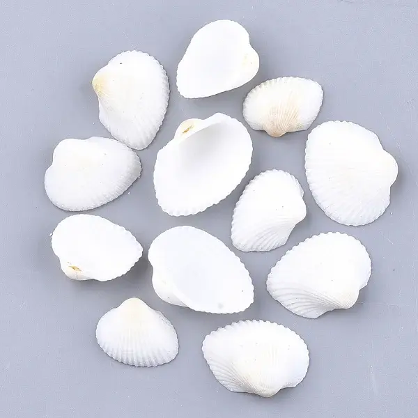 Clam Shell Beads