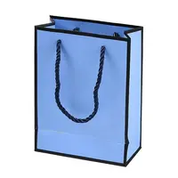 Rectangle Paper Bags with Twisted Rope Handles