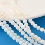 Natural Shell Beads Strands