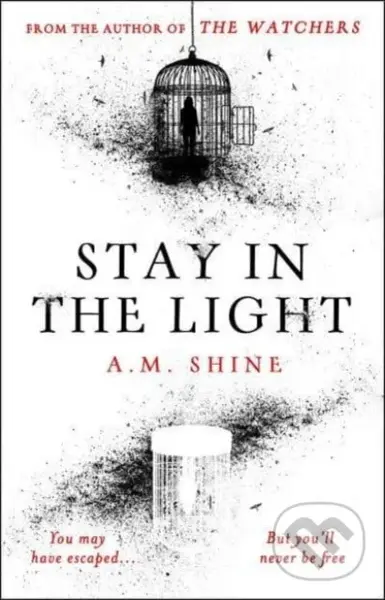 Stay in the Light - A.M. Shine