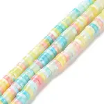 Natural Trochid Shell Beads Strands