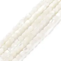 Natural Trochus Shell Beads Strands