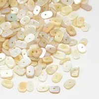 Dyed Natural Freshwater Shell Chips Beads