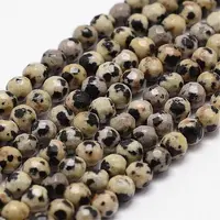 Natural Dalmatian Jasper Beads Strands