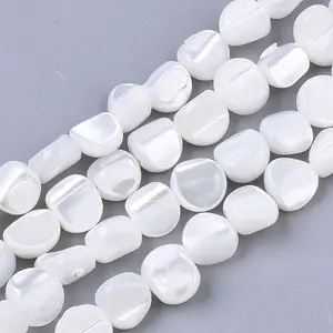 Trochus Shell Beads Strands