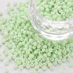 8/0 Opaque Glass Seed Beads