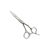 Profesionálne kadernícke nožnice Takumi 5 star serie Knipschaar MIDORI 60