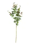 Umělá větvička House Doctor HDEucalyptus 25 x 90 cm
