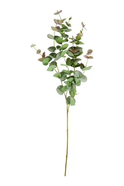 Umělá větvička House Doctor HDEucalyptus 25 x 90 cm