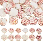 32Pcs 2 Styles Electroplate Sea Shell Pendants