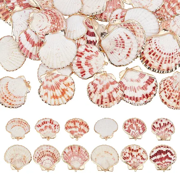32Pcs 2 Styles Electroplate Sea Shell Pendants