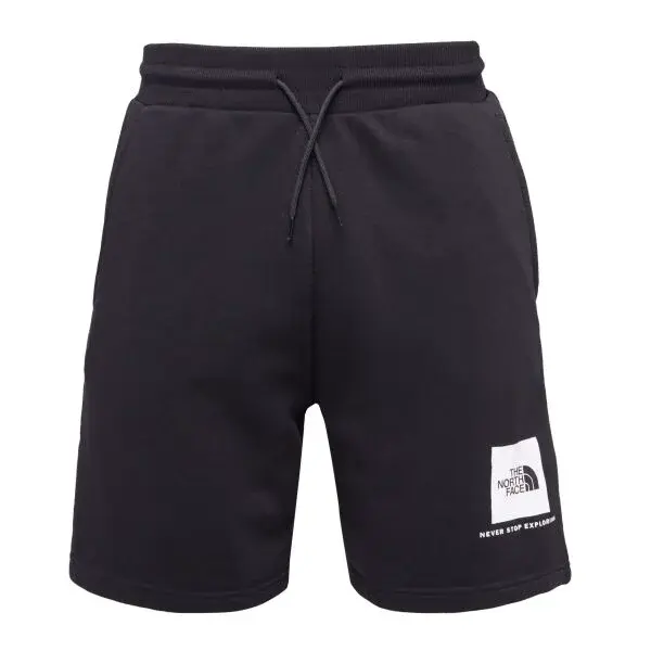 The North Face M BOX NSE LIGHT REGULAR SHORTS Pánske šortky, čierna, veľkosť