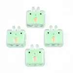 Transparent Acrylic Beads