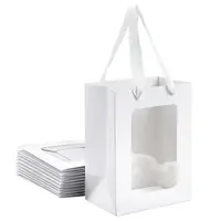 Rectangle Paper Gift Bags