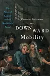 Downward Mobility - Katherine  Binhammer