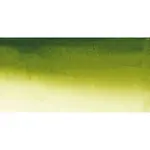 Akvarelová barva Sennelier 1/2 – 813 Olive Green