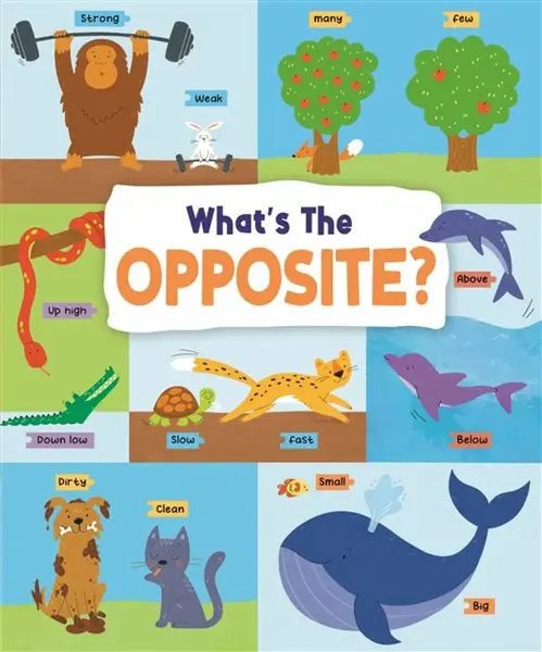 What's the Opposite? - John Allan