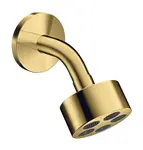 Axor One - Hlavová sprcha, priemer 7 cm, EcoSmart, leštený vzhľad zlata 48490990