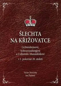 Šlechta na křižovatce (poškozená) - Jan Županič, Václav Horčička
