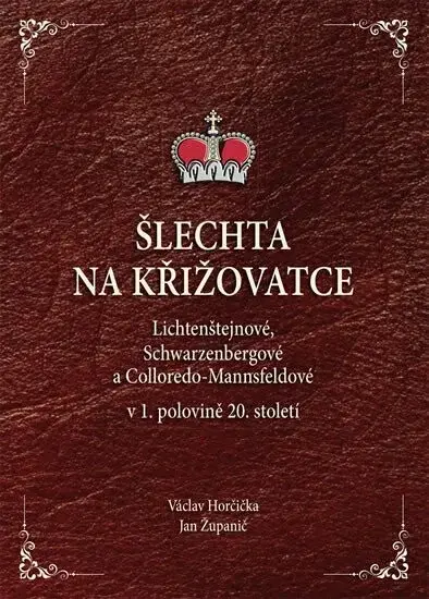 Šlechta na křižovatce (poškozená) - Jan Županič, Václav Horčička