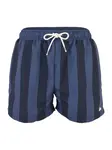 ELLESSE Plavecké šortky 'Staziona'  námornícka modrá / námornícka modrá