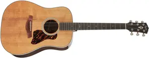 Taylor Gold Label 710e