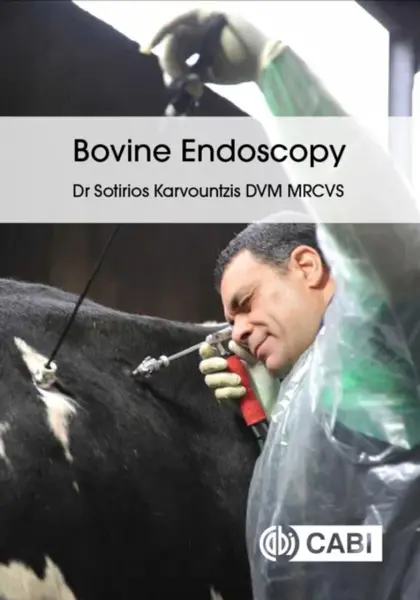 Bovine Endoscopy - Dr Sotirios  Karvountzis