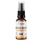 Blendea Energy Boost sprej 10 ml