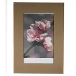 Rám s klipmi 13x18 cm sklo