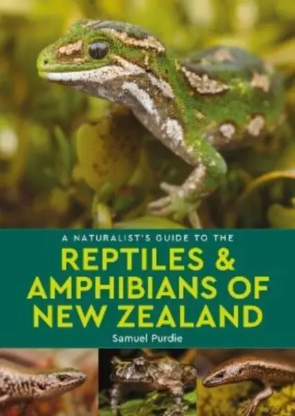 A Naturalist's Guide to the Reptiles & Amphibians Of New Zealand - Samuel Purdie