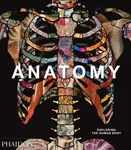 Anatomy - Phaidon Editors