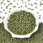 Baking Paint Pearlized Glass Seed Beads