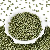 Baking Paint Pearlized Glass Seed Beads