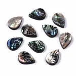 Natural Abalone Shell/Paua Shell Beads