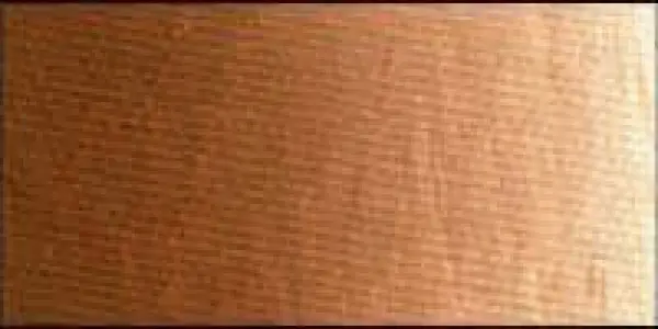 Olejová barva Old Holland 40ml – 059 Yellow Ochre Half Burnt