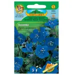 Svazenka zvonkovitá, modrá