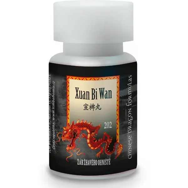 Žiara žeravého ohniska - Xuan bi wan