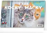 Kalendář 2026 stolní: Kočky - Mačky, 23,1 x 14,5 cm (poškozená)