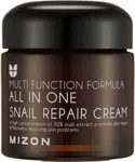 MIZON All In One Snail Repair, Krém na vrásky a problematickou pleť 75 ml