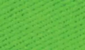 Barva na textil Rosa 20ml – 22 Lime