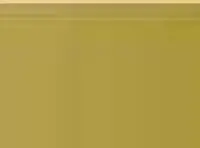 Pastel Caran d'Ache Neocolor I 249 Olive