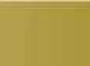 Pastel Caran d'Ache Neocolor I 249 Olive