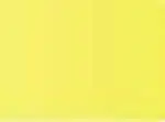 Pastel Caran d'Ache Neocolor II 250 Canary yellow