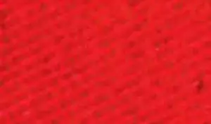 Barva na textil Rosa 20ml – 06 Red