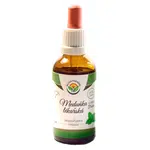 SALVIA PARADISE Meduňka lékařská AF tinktura 50 ml