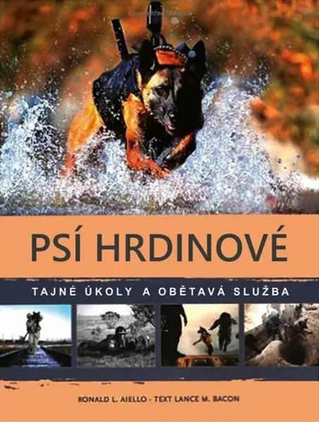 Psí hrdinové (poškozené) - Bacon Lance
