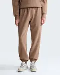The north face w evo sd reg pant m