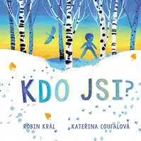 Kdo jsi?, Král Robin