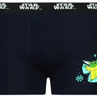 Pánske boxerky Batman - Frogies